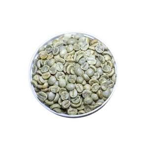 Granos de Café Verde Robusta de Primera Calidad, Especialidad de Vietnam, OEM/ODM, Tostados, Sin GMO, Grado A, Listos para Exportar - Product Image 1