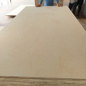 Contreplaqué de conception industrielle vietnamienne de haute qualité pour la construction de projets industriels - Product Image 1