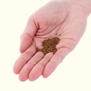 Granulés d'aliments pour poissons prêts à l'emploi, nutrition équilibrée, pour la croissance des poissons d'étang, conditionnés en vrac, qualité export et approvisionnement régulier en aliments. - Product Image 2