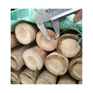 <b>Bamboo</b> Poles Customize Length EcoFriendly Plant Support Garden Stakes Strong Durable From Vietnam - Product Image 1