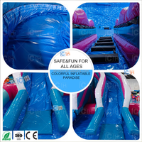 Tobogán Acuático Inflable para Jardín con Piscina, Diseño de Flamencos, Casa de Brinco para Niños, Diversión Familiar al Aire Libre, Fiesta de Verano, Parque Acuático