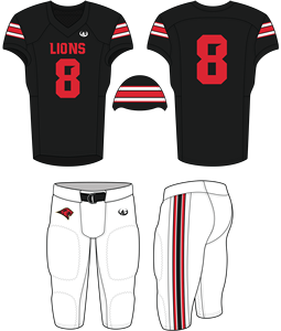 Customized Eagle Design Adult Football Uniform with Spandex/Polyester Material Anti-Bacterial & Breathable Features - Product Image 2