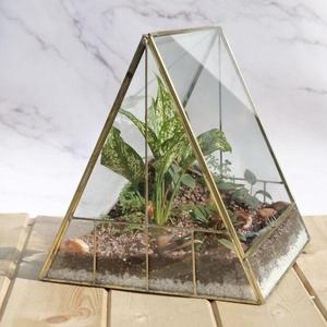 Terrarium en verre transparent pour centre de table de mariage, récipient de présentation pour plantes d'intérieur, succulentes, plantes aériennes ou miniatures - Product Image 1