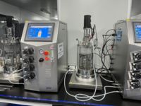 Bioréacteur en verre automatique 10L avec moteur et pompe pour la fermentation du kimchi et la mise sous pression (type vase à pression)