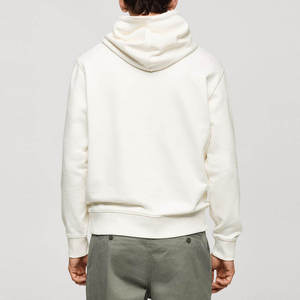 Sudadera con Capucha Verde Claro para Hombre, Corte Regular, 100% Algodón, Felpa, con Bolsillo Frontal con Logotipo, Informal, Invierno, Servicio OEM - Product Image 5