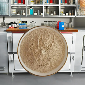 Poudre d'enzyme protéase alcaline 7903232 Fabriquée au Gujarat, Inde - Product Image 4