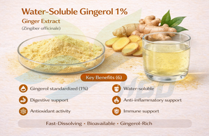 HGO Suministro directo de fábrica Extracto de jengibre natural puro (grado alimenticio) Gingerol soluble en agua 1% (extracto estandarizado) - Product Image 6