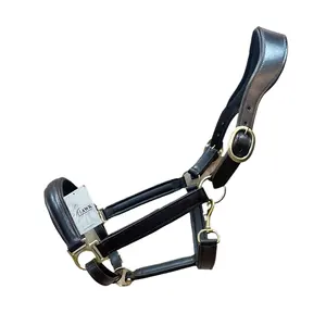 Muserolle demi-ronde à licou équestre anglais de haute qualité et matériel en laiton équipement d'équitation en cuir de qualité supérieure - Product Image 1