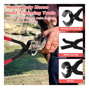 Kit de Herramientas Profesional para Herradores, para el Cuidado de Pezuñas de Caballos, Juego de Recorte de Pezuñas de Alta Resistencia, Incluye Alicates para Recortar Pezuñas y Tenazas para Herraduras - Product Image 3