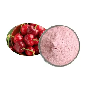 批发干水溶性无添加剂水果有机针树樱桃粉17% 维生素c