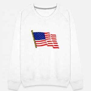 Spain flag Logo Custom Plus Size Men's Streetwear Fitness Sports Sweatshirt Oversized Pullover Gym Hoodies 300GSM High Quality - Product Image 2