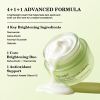 Crème de soin personnalisée pour la peau, correction des taches brunes, atténuation des cicatrices d'acné, soin coréen de la peau, crème pour le visage à la niacinamide et à la vitamine E