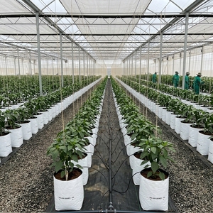 Wholesale cocopeat Coconut Coir Pith & Husk Chips Grow Bags Made From <b>Plastic</b> 1000mL Capacity for Hydroponics Plant Growth - Product Image 5