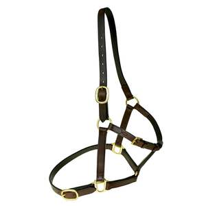 Cabestros de Cuero Premium Estilo Western para Montar a Caballo, Hechos a Mano por Proveedores de Alta Calidad - Product Image 5