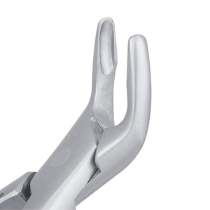 Forceps d'extraction dentaire chirurgical en acier inoxydable pour incisives inférieures, canines et premiers molaires (203) - Chirurgie buccale - Product Image 5
