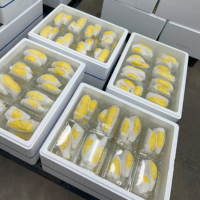 Thailand Verse Durian Zoete Romige Koning Fruit Groothandel Premium Kwaliteit Monthong 500g 14 Dagen Houdbaarheid Gekochte Opslag