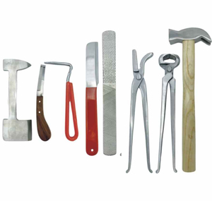 Kit de Herramientas para Pezuñas de Caballos, Cerdos, Ovejas y Burros, Juego de Herramientas de Acero Inoxidable para el Cuidado de Pezuñas Equinas - Product Image 1