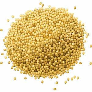 Millet jaune pur en vrac : frais et nutritif pour l'alimentation saine et l'approvisionnement de l'industrie alimentaire - Product Image 3