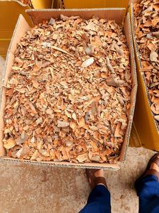 Cassia Rota de Alta Calidad a Precio Económico, Muestra Gratis, WA +84 35 254 2206 - Product Image 2