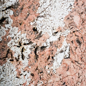 Pierre de granit rose d'Alaska polie pour revêtements muraux et sols modernes, projets hôteliers, cuisines, salons et villas - Product Image 5
