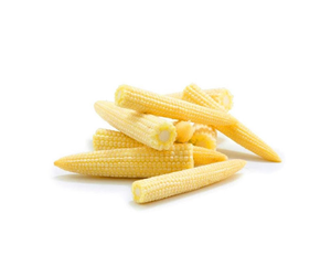 Proveedor de Maíz Baby de Vietnam – Maíz Baby de Primera Calidad, Dulce Natural // Sr. Tom - Product Image 1