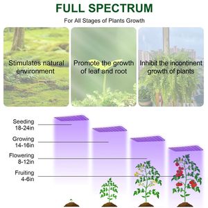 2 Luces LED Ultrafinas para Cultivo, Espectro Completo, 126 LED para Plantas de Interior, Panel de 3/9/12, Iluminación Interior para Armarios de Cultivo - Product Image 4