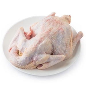 ไก่แช่แข็งทั้งตัวสำหรับส่งออก / เนื้อไก่คุณภาพเยี่ยม เกรดซุปเปอร์ ไก่แช่แข็งไร้กระดูกและหนัง - Product Image 5