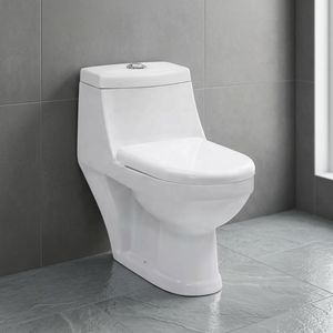 WC monobloc en céramique haut de gamme avec compatibilité S-trap et P-trap pour projets résidentiels - Product Image 4