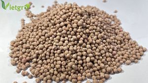 Fertilizante Compuesto NPK 17-17-17 - Fertilizante Granular - Fabricante Vietnamita - Color: Marrón - Product Image 1