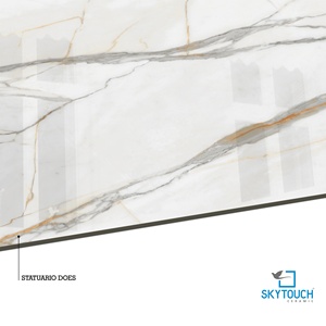 Azulejos de Porcelana de Gran Formato 1200x2400, 20 mm de Espesor, Resistentes a los Ácidos, para Pisos y Paredes Interiores, para Centros Comerciales y Villas - Product Image 2