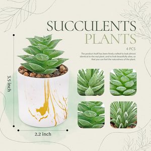 Set di 4 Piante Succulente Artificiali Verdi per Decorazione Casa e Accessori da Scrivania per Donne - Product Image 3