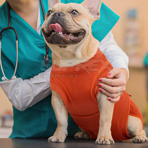 Ropa de recuperación para mascotas de tela elástica transpirable de diseño superior, cómoda para perros después de cirugía - Product Image 2