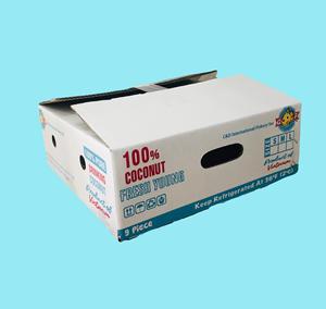 Caja de cartón corrugado plegable con logotipo personalizado Protección UV Flexográfica Impreso Embalaje de coco fresco Envío rectangular - Product Image 1