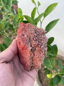 Grappe de cristaux de vanadinite naturelle |   Spécimen minéral rouge sur matrice |   Pierre de présentation pour collectionneur |   3,5 pouces - Product Image 4