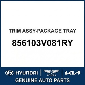 ชุดแต่งตัวถังและขอบประตูรถยนต์ Grandeur/Azera รุ่นใหม่ 856103V081RY - Product Image 1
