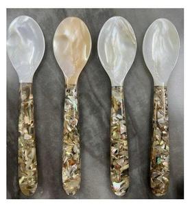 Cuillère en nacre faite à la main, coquillage naturel, vaisselle jetable écologique pour la restauration - Product Image 1