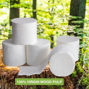 Rouleau de papier toilette de qualité supérieure à forte absorption d'eau, sac de 6 rouleaux, papier blanc 2 plis, taille 100x105mm, OEM ODM, doux et épais - Product Image 5