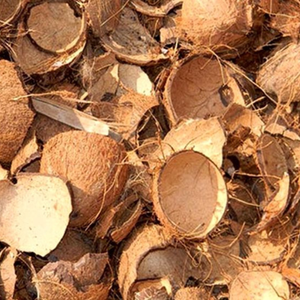 Charbon actif de coque de noix de coco naturelle (brute et concassée) du Tamil Nadu, qualité supérieure, pour filtration d'eau, durée de conservation de 3 ans, haute qualité - Product Image 5