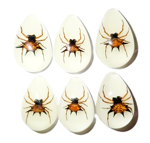 Spiny <b>Spider</b> Real Specimen <b>Plastic</b> Cabochon Pear Shape Cut Top 33x22 mm Glow Flat Bottom for Crafts and Jewelry Making - Product Image 1