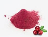Polvo de Arándanos Liofilizado 60% Grado Alimenticio, Extracto de Fruta Extraído con Solvente, Suplemento Rico en Antocianinas, Nutrición Diaria - Product Image 4