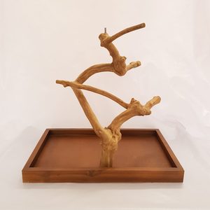 Decoración de Acuario de Madera Flotante Natural, Forma Irregular, Estilo Simple, Raíz Duradera en Bandeja - Product Image 2
