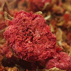 Fleurs de grenade séchées de qualité supérieure, soigneusement cueillies et séchées naturellement pour préserver leur apparence unique et leur texture riche - Product Image 5