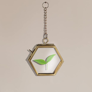 Mini Cute Photo <b>Frame</b> Hexagon Shape Clear Glass Hanging Wall Decoration <b>Frame</b> Pressed Leaf Decorate Hanging <b>Frame</b> <b>Gold</b> Finished - Product Image 1