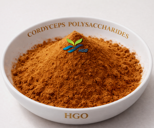 Hgo สารสกัดจากเส้นใยคอร์ดิเซ็ปส์ (เกรดอาหาร) คุณสมบัติโดยตรงจากโรงงาน8% - Product Image 6