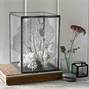 Mirror Base Jewelry Decorative Storage <b>Box</b> Made From High Quality Brass and <b>Glass</b> Tapered <b>Glass</b> <b>Box</b> for Bulk Supply for Exports - Product Image 3