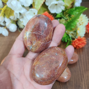 Pierre de palmier naturelle polie de haute qualité, I pierre de palmier naturelle - Product Image 3