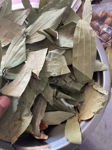 Hoja de Laurel India (Tejpata) Cinnamomum Tamal Especias Enteras - Sabor a Canela Suave Ampliamente Utilizado en la Cocina India para un Aroma Distintivo - Product Image 5