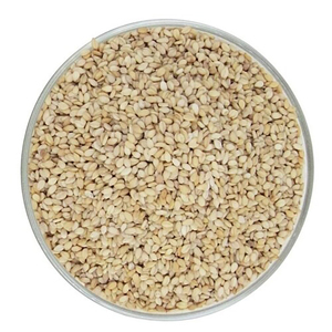 Graines de sésame blanches décortiquées 100% pures biologiques, séchées naturellement et triées Sortex 99,95%, épice culinaire d'Inde - Product Image 1