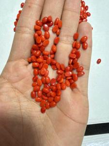 Coral rouge naturel en cabochon pour la fabrication de bijoux (vente en gros) - Product Image 2