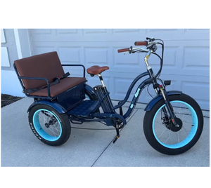 Tricycles électriques Sixthreezeros EVRYjourney 750W avec siège passager - Product Image 3